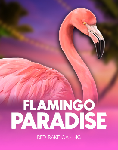 Flamingo Paradise