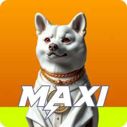 Maxi Level Image