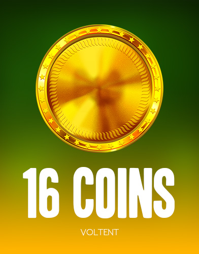 16 Coins