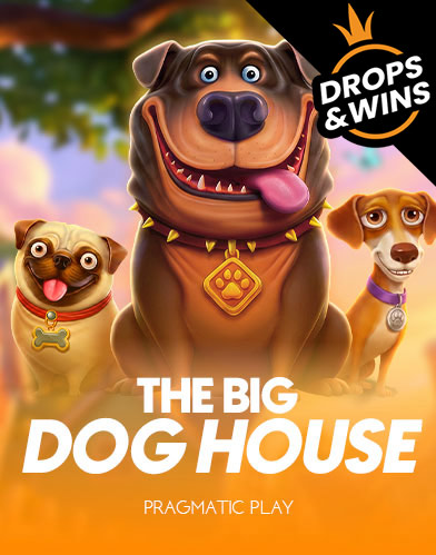 The Big Dog House