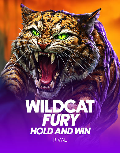 WILDCAT FURY - HOLD & WIN