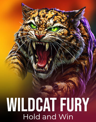 WILDCAT FURY - HOLD & WIN