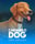 Caramelo Dog: Lucky Run