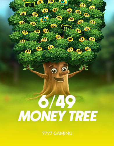 6/49 MONEY TREE