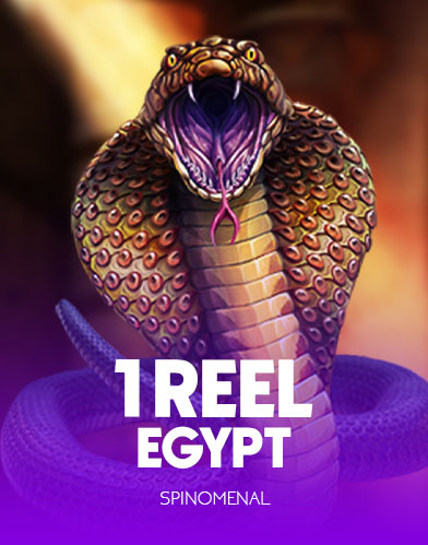1 Reel Egypt