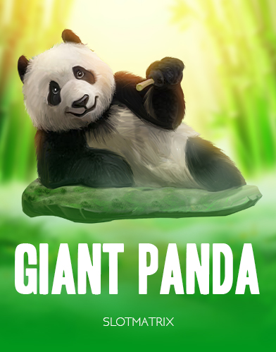 Giant Panda
