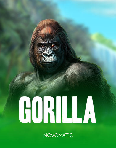 Gorilla